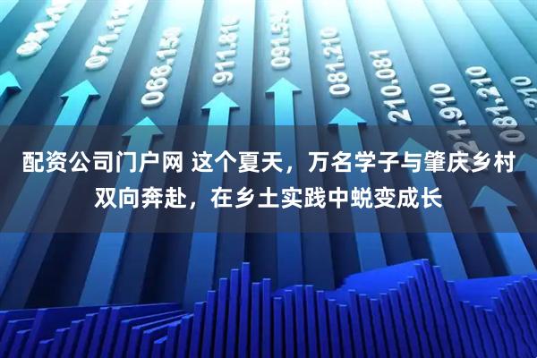 配资公司门户网 这个夏天，万名学子与肇庆乡村双向奔赴，在乡土实践中蜕变成长